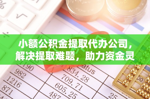 云城小额公积金提取代办公司，解决提取难题，助力资金灵活使用