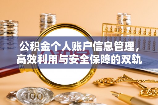 云城公积金个人账户信息管理，高效利用与安全保障的双轨并行