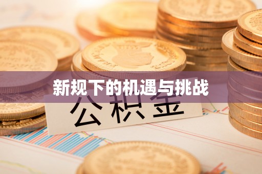 云城新规下的机遇与挑战