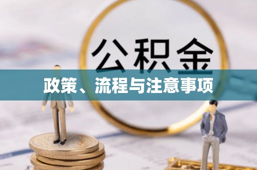 云城政策、流程与注意事项