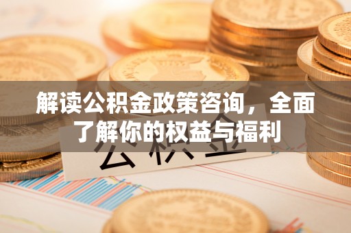 云城解读公积金政策咨询，全面了解你的权益与福利