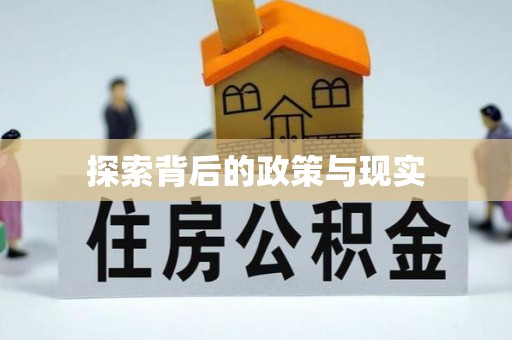 云城探索背后的政策与现实