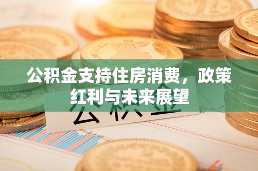 云城公积金支持住房消费，政策红利与未来展望