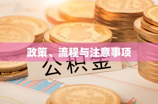 云城政策、流程与注意事项
