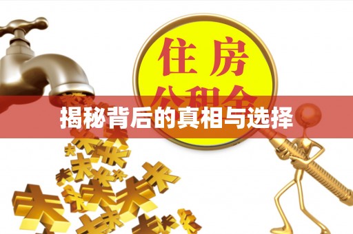 云城揭秘背后的真相与选择