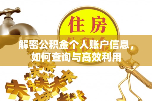 云城解密公积金个人账户信息，如何查询与高效利用
