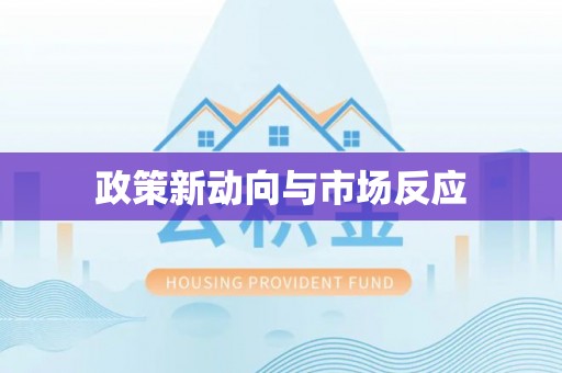 云城政策新动向与市场反应