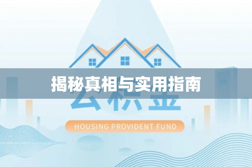 云城揭秘真相与实用指南