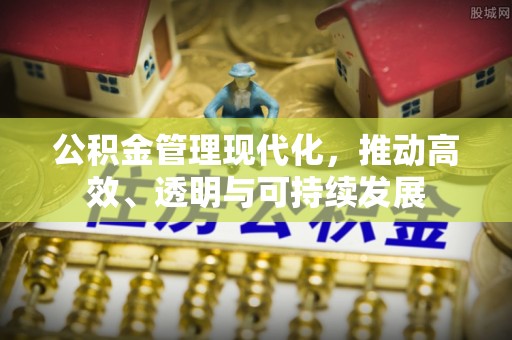 云城公积金管理现代化，推动高效、透明与可持续发展