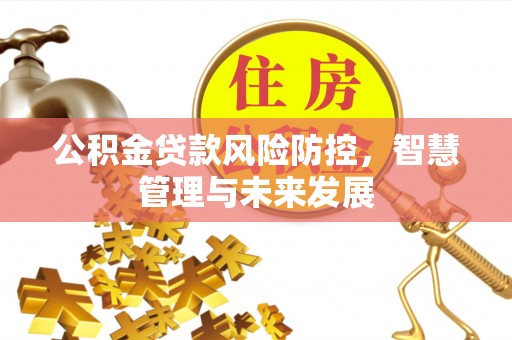 云城公积金贷款风险防控，智慧管理与未来发展