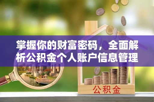 云城掌握你的财富密码，全面解析公积金个人账户信息管理与优化