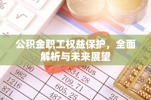 云城公积金职工权益保护，全面解析与未来展望
