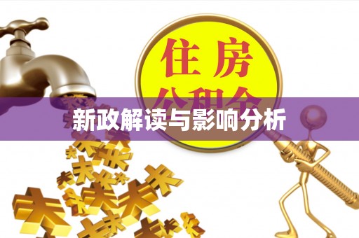 云城新政解读与影响分析