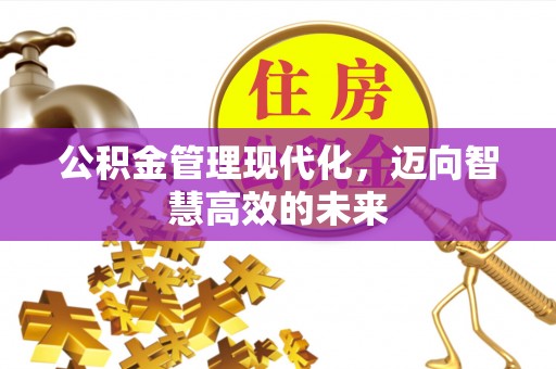 云城公积金管理现代化，迈向智慧高效的未来