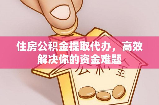 云城住房公积金提取代办，高效解决你的资金难题