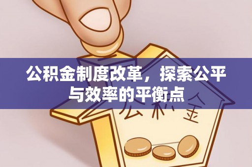 云城公积金制度改革，探索公平与效率的平衡点