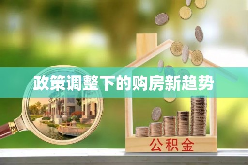云城政策调整下的购房新趋势