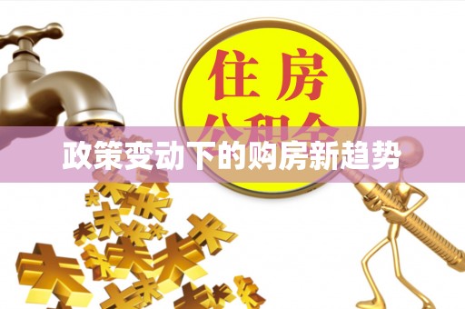 云城政策变动下的购房新趋势