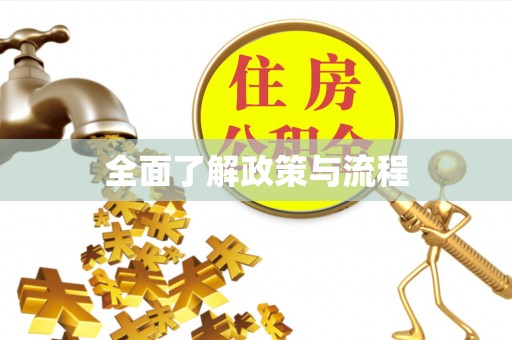 云城全面了解政策与流程