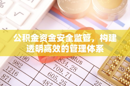 云城公积金资金安全监管，构建透明高效的管理体系