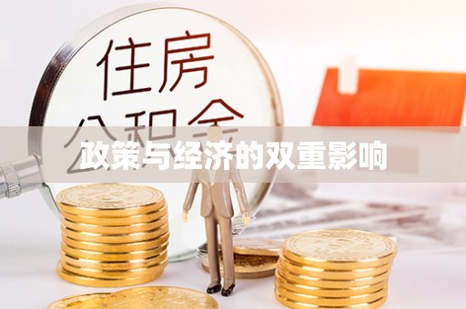 云城政策与经济的双重影响