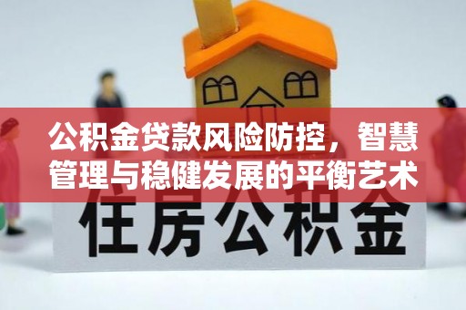 云城公积金贷款风险防控，智慧管理与稳健发展的平衡艺术