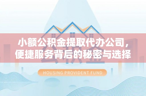 云城小额公积金提取代办公司，便捷服务背后的秘密与选择指南