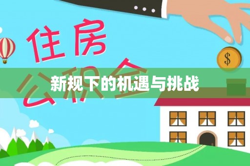 云城新规下的机遇与挑战