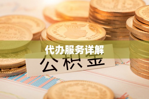 云城代办服务详解