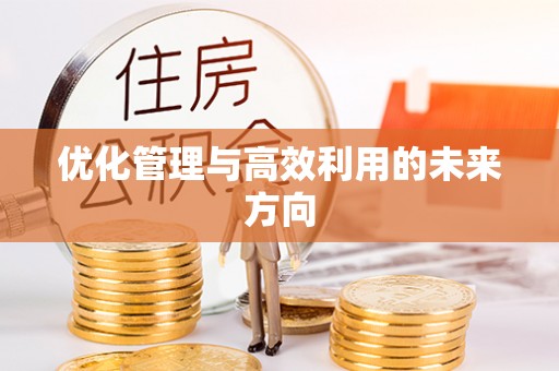 云城优化管理与高效利用的未来方向