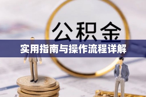 云城实用指南与操作流程详解
