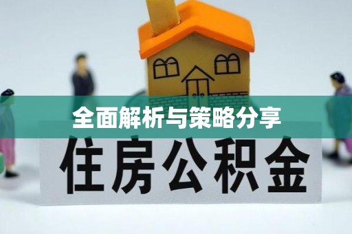云城全面解析与策略分享
