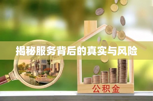 云城揭秘服务背后的真实与风险