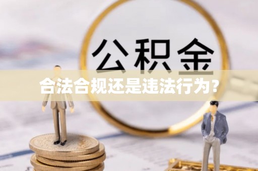 云城合法合规还是违法行为？