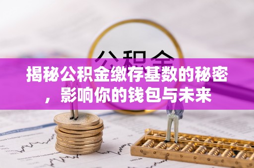 云城揭秘公积金缴存基数的秘密，影响你的钱包与未来