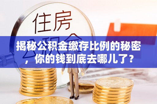 云城揭秘公积金缴存比例的秘密，你的钱到底去哪儿了？