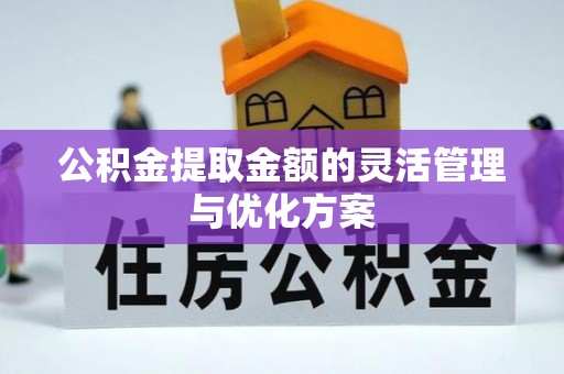 云城公积金提取金额的灵活管理与优化方案