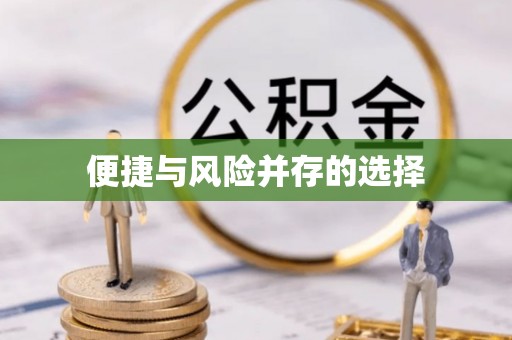 云城便捷与风险并存的选择
