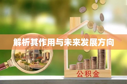 云城解析其作用与未来发展方向