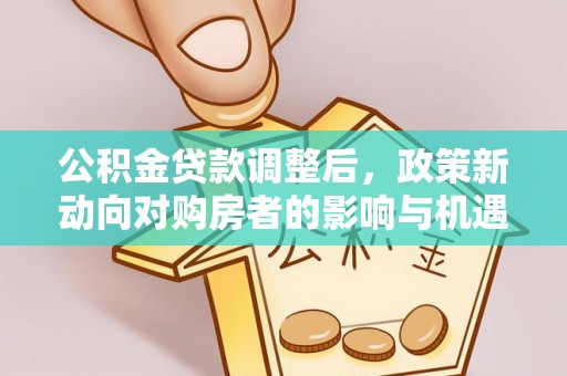 云城公积金贷款调整后，政策新动向对购房者的影响与机遇