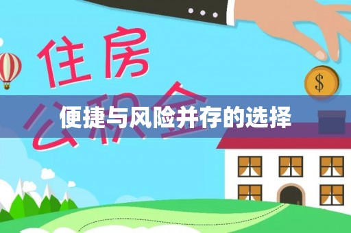 云城便捷与风险并存的选择