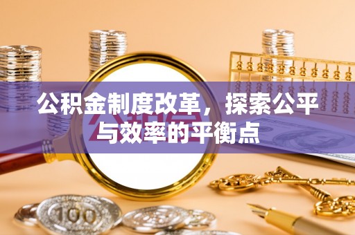 云城公积金制度改革，探索公平与效率的平衡点