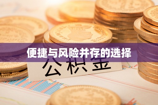 云城便捷与风险并存的选择