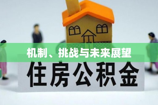 云城机制、挑战与未来展望